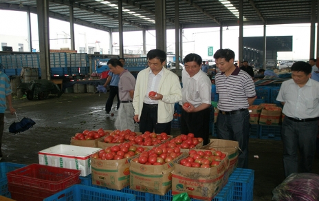 2011年6月嘉興市委常委、市政府常務(wù)副市長(cháng)蔣唯民一行蒞臨蔬菜市場(chǎng)視察菜籃子供應工作