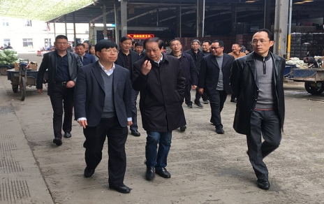 2017年3月16日下午，嘉興市委常委、常務(wù)副市長(cháng)樓建明帶領(lǐng)市級相關(guān)部門(mén)負責人視察嘉興蔬菜批發(fā)市場(chǎng)
