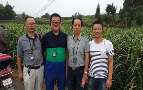 2014年8月，中國蔬菜流通協(xié)會(huì )會(huì )長(cháng)戴中久與公司、市場(chǎng)領(lǐng)導一起考察蔬菜基地