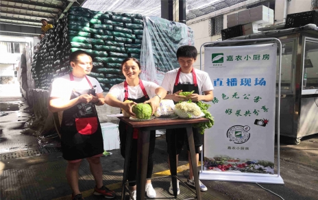創(chuàng  )意直播帶貨,本期專(zhuān)欄：蘭州高原夏菜！