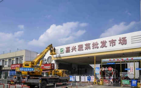 進(jìn)無(wú)止境，“嘉農?蔬菜人”